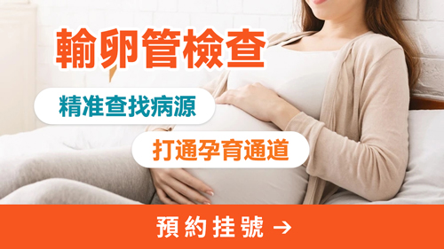 輸卵管8.jpg